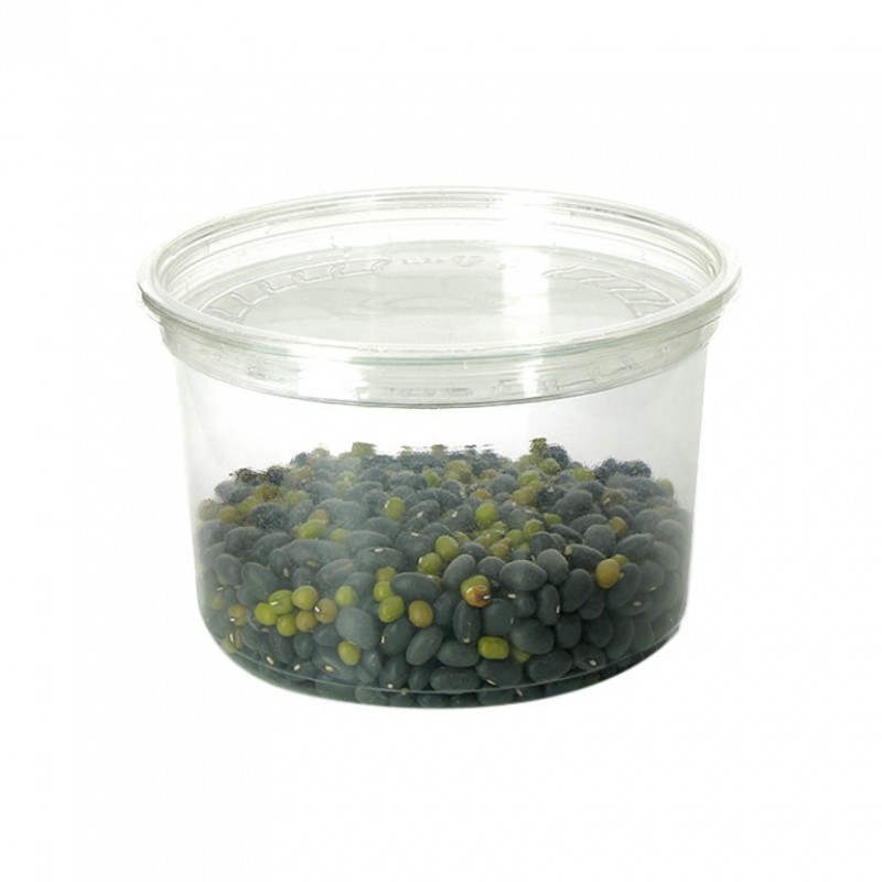 Tarrina transparente PET 473cc (16 Oz) Tarrina transparente PET 473cc (16 Oz)