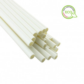 Ecological White Paper Straws (20cm 0.6Ø)