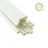 Ecological White Paper Straws (20cm 0.6Ø)