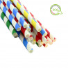 Ecological Colored Striped Paper Straws (20cm 0.6Ø)