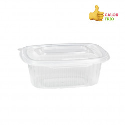 PP rectangular container with hinged lid (250cc)