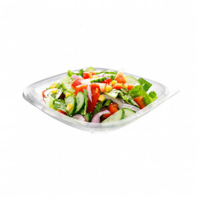 Transparent Pet Square Salad Bowl 550cc (19 Oz)