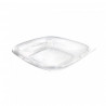 Bol à salade carré transparent pour animaux de compagnie 550 cc (19 oz)