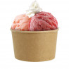 Vaschette gelato in cartone kraft (240ml)
