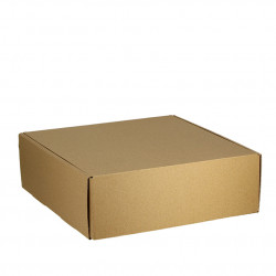 MicroChannel kraft cardboard boxes (6 divisions)