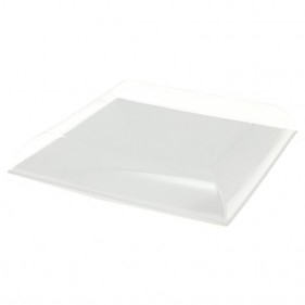 Tapa de plástico plato fibra cuadrado 20cm