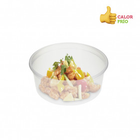 Reusable PP Translucent Circular Container (370c)