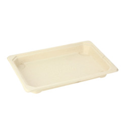 Bandeja sushi compostable con tapa (21,3 x 13,3 x 4cm) | PuntoQpack