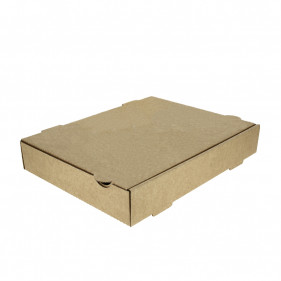 Scatola Cachopo Microchannel 300x235x50 mm generica
