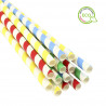 Colored biodegradable paper straws (23cm 0.8Ø)