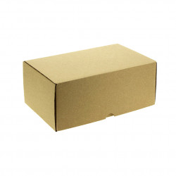 MicroCanal Kraft cardboard box for high hamburger and fried