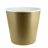 Cubos de pollo frito deco kraft grande (5100cc)