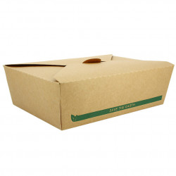 Waterproof ECO Kraft Cardboard Box (1900cc)