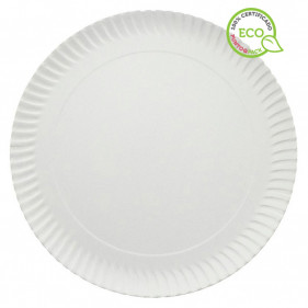 Grandes assiettes en carton blanc (32Ø)