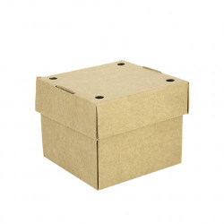 CAJAS CARTON CUADRADA AUTOMONTABLES con tapa UNIDA BIO