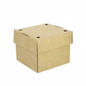 Scatole per hamburger a microcanali premium