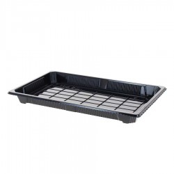 Recyclable PS sushi trays with anti-fog lid (21.5x13.5x4.5cm)