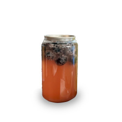 Latas PET para bebidas frÃas 330 ml