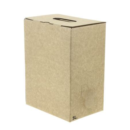 Caja kraft catering para bolsa termolaminada con grifo 5 litros