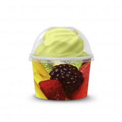 Potinhos de Sorvete 120ml Frutas (4Oz)