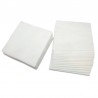 Servilletas de papel extra 2 hojas 20x20 Caricias | PuntoQpack