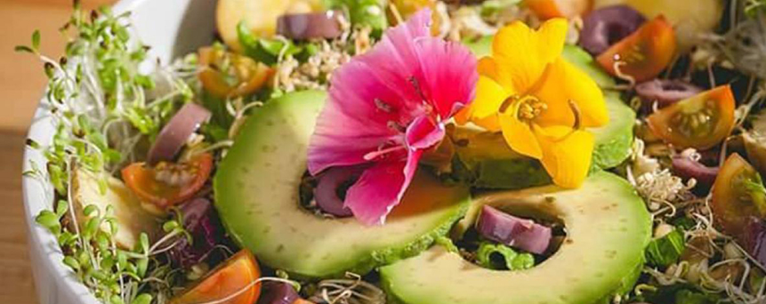 La tendencia ecológica gana presencia