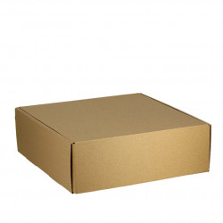 CAJAS DE CARTON KRAFT MICROCANAL 6 DIVISIONES