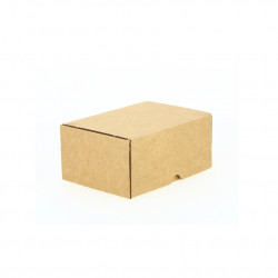 MINI CARTON BOX MICROCHANNEL EMPANADAS ARGENTINAS